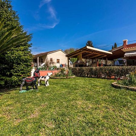 Antonela Sunshine Apartment By Corfu Escapes Перама Екстериор снимка